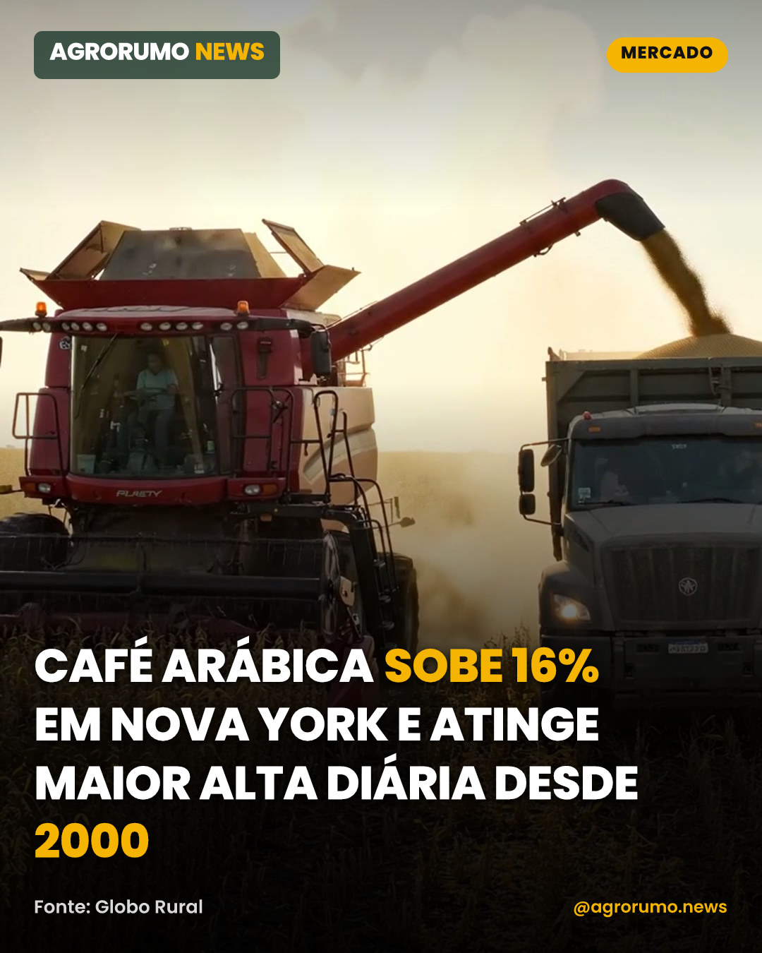 Café arábica sobe 16% em Nova York e atinge maior alta diária desde 2000