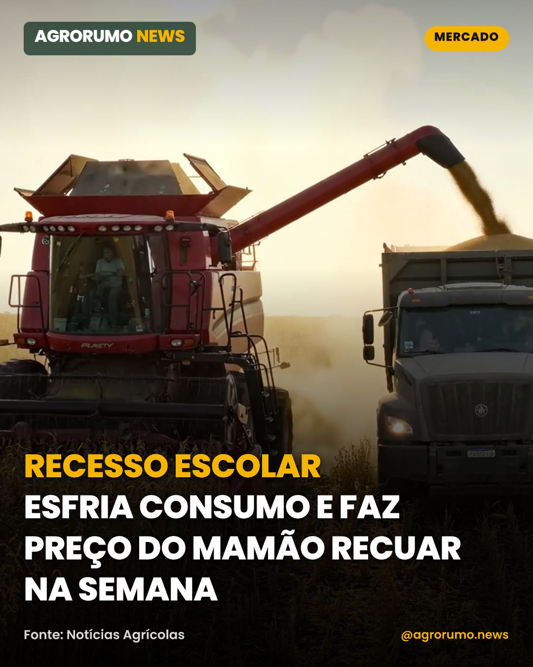 Recesso escolar esfria consumo e faz preço do mamão recuar na semana