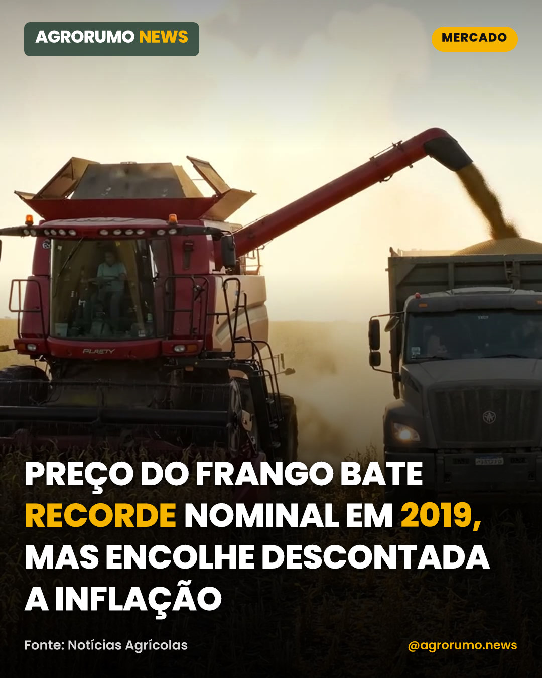 Preço do frango bate recorde nominal em 2019, mas encolhe descontada a inflação
