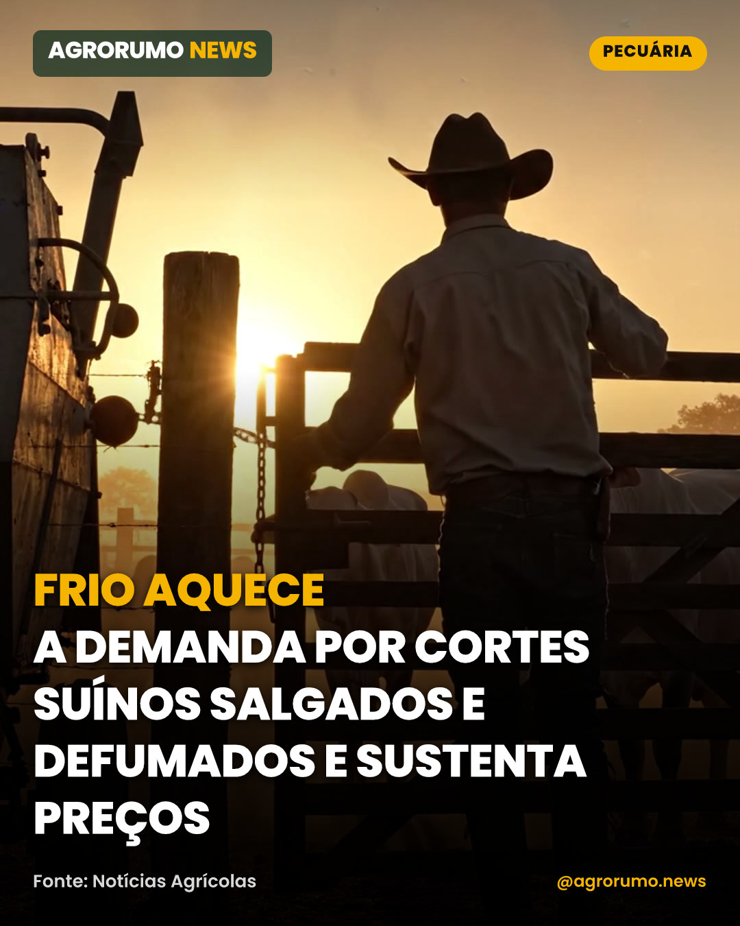 Frio aquece a demanda por cortes suínos salgados e defumados e sustenta preços
