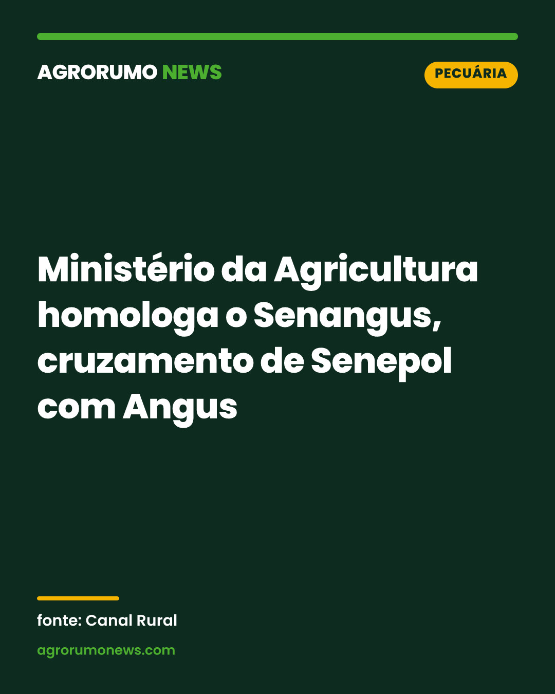 Ministério da Agricultura homologa o Senangus, cruzamento de Senepol com Angus