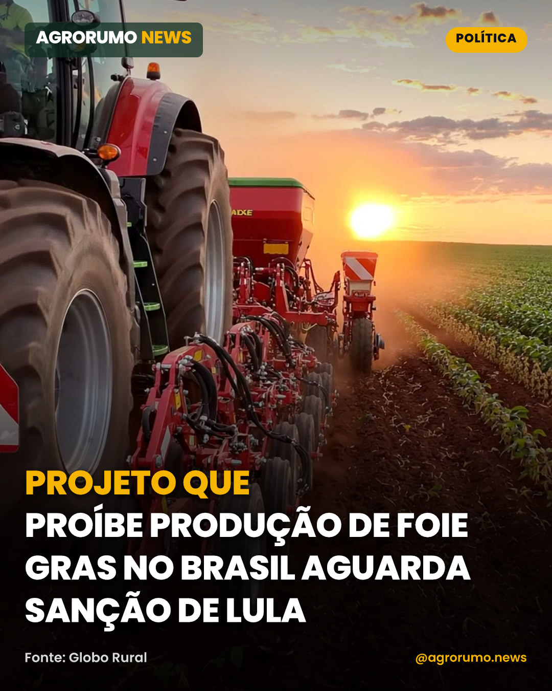 Projeto que proíbe produção de foie gras no Brasil aguarda sanção de Lula