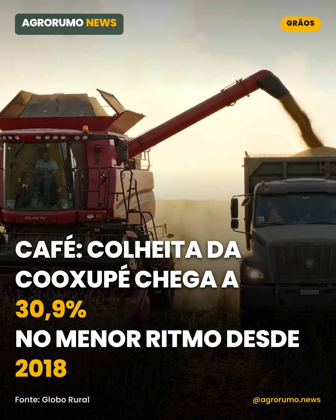 Café: colheita da Cooxupé chega a 30,9% no menor ritmo desde 2018