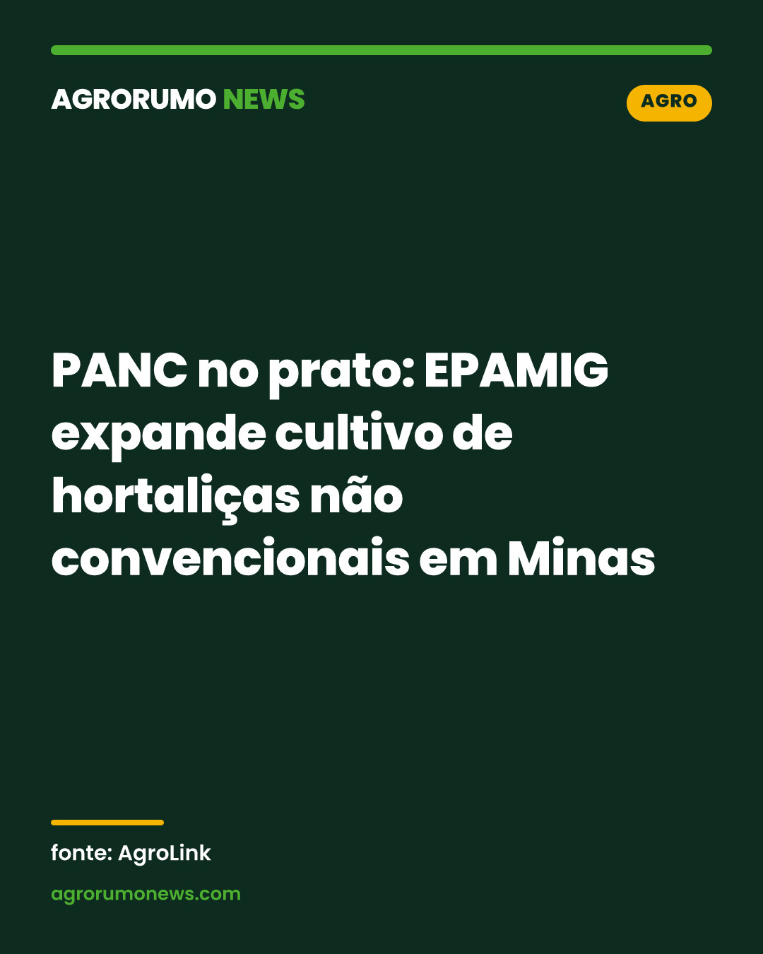 PANC no prato: EPAMIG expande cultivo de hortaliças não convencionais em Minas