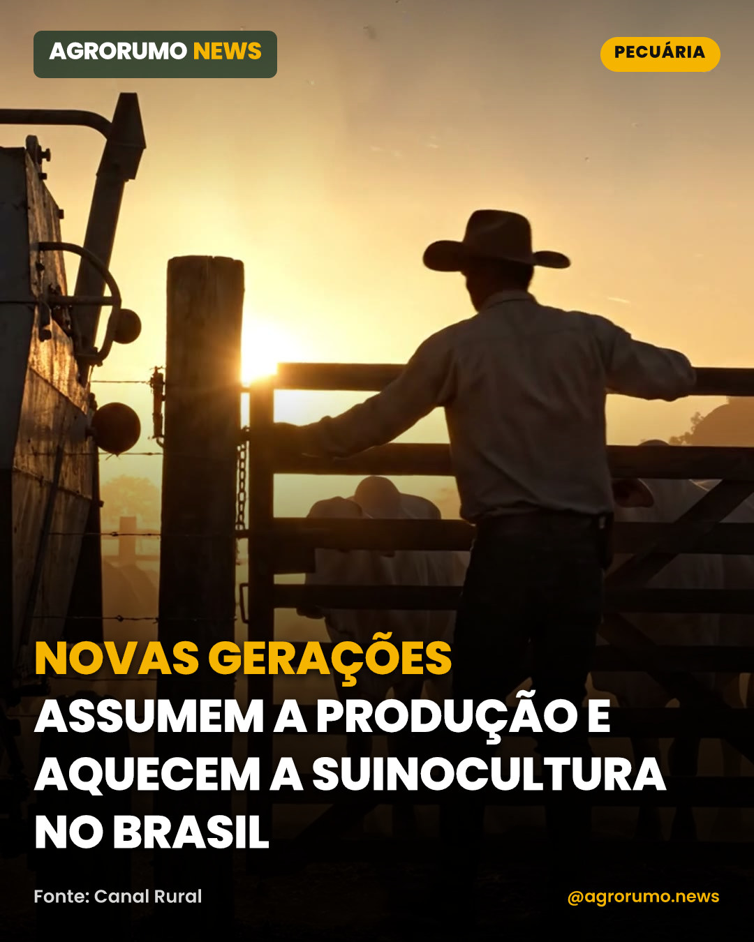 Novas gerações assumem a produção e aquecem a suinocultura no Brasil
