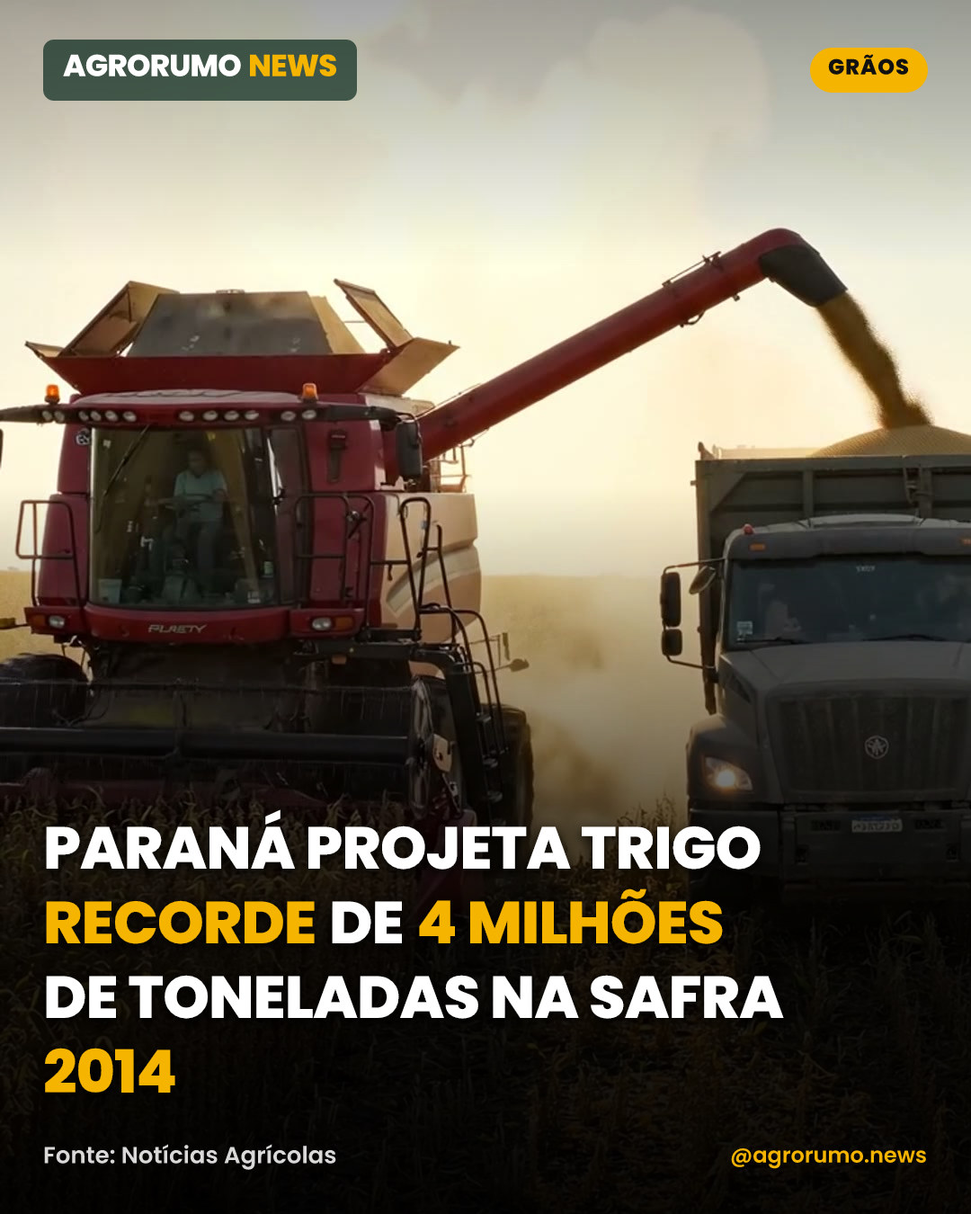 Paraná projeta trigo recorde de 4 milhões de toneladas na safra 2014