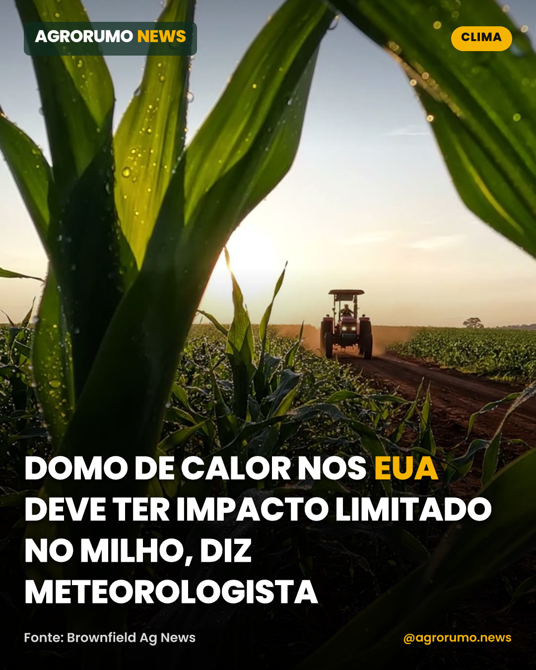 Domo de calor nos EUA deve ter impacto limitado no milho, diz meteorologista