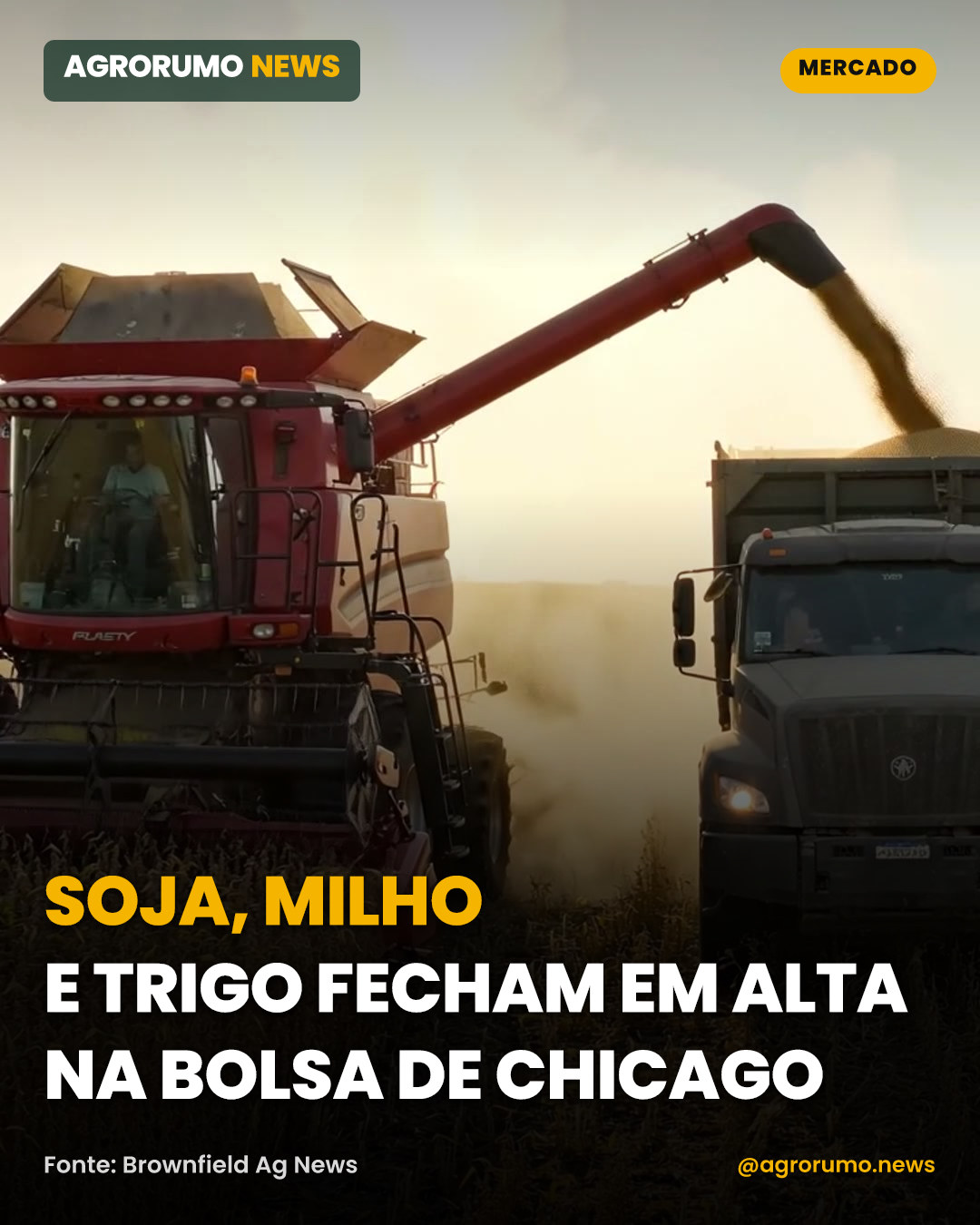 Soja, milho e trigo fecham em alta na Bolsa de Chicago