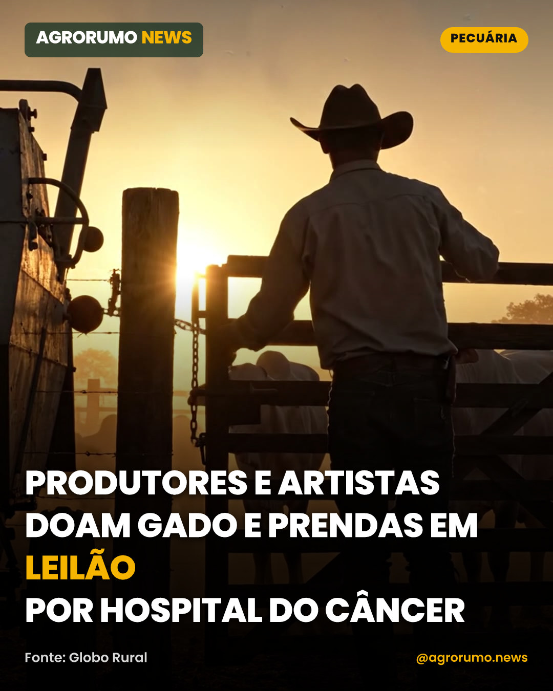 Produtores e artistas doam gado e prendas em leilão por hospital do câncer
