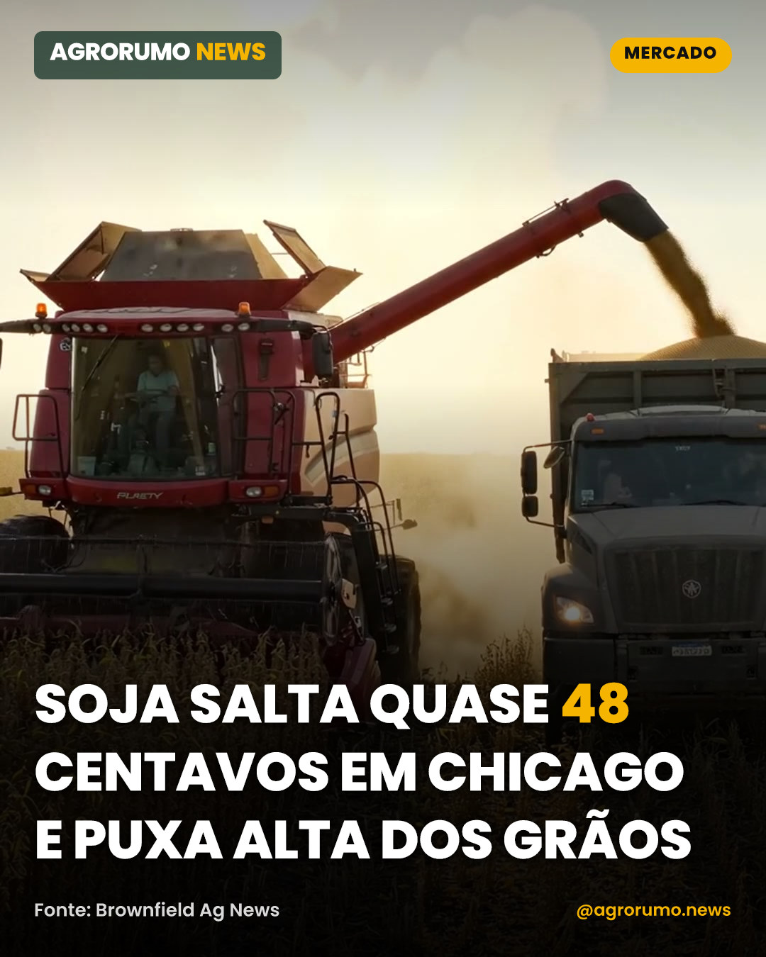 Soja salta quase 48 centavos em Chicago e puxa alta dos grãos