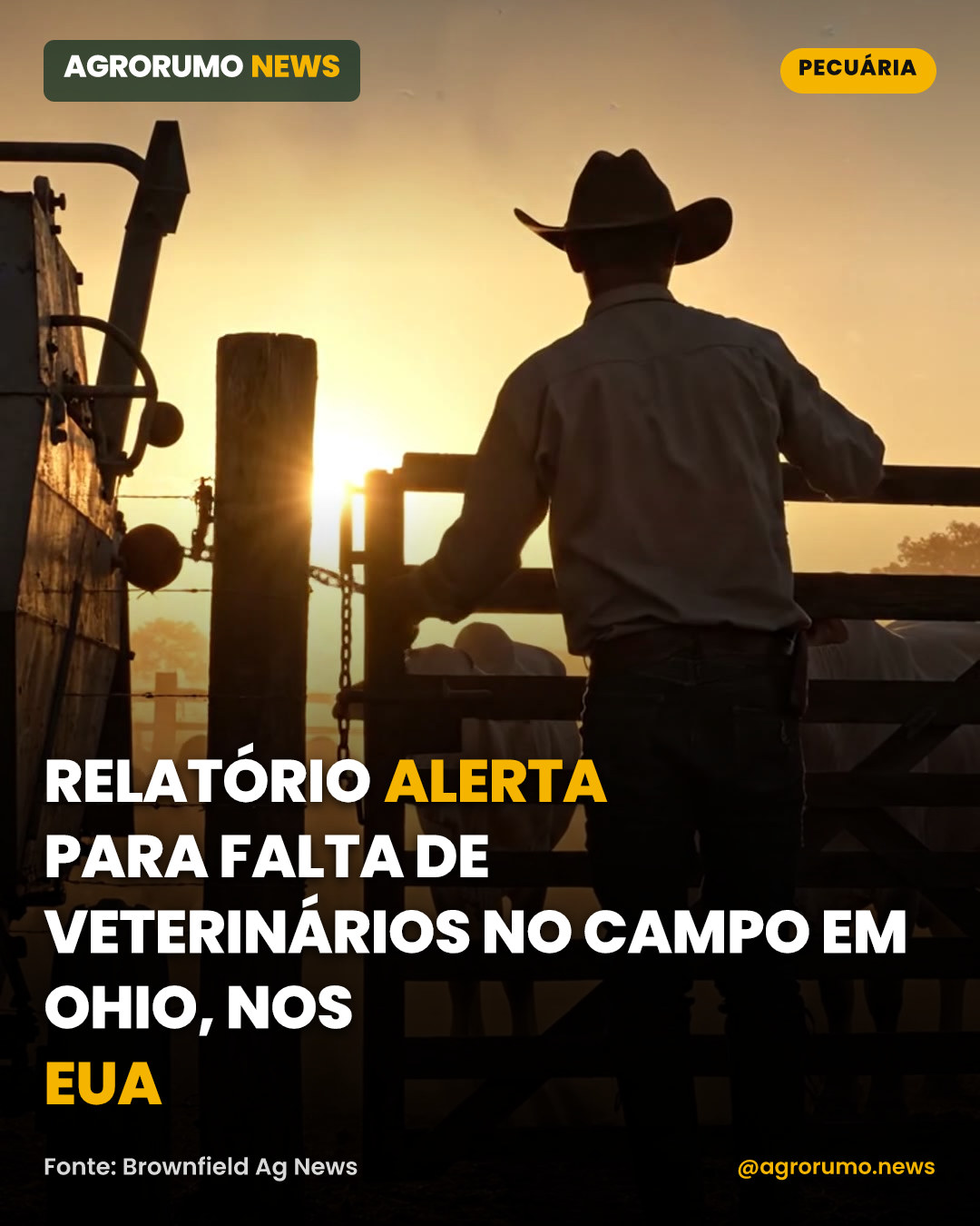 Relatório alerta para falta de veterinários no campo em Ohio, nos EUA