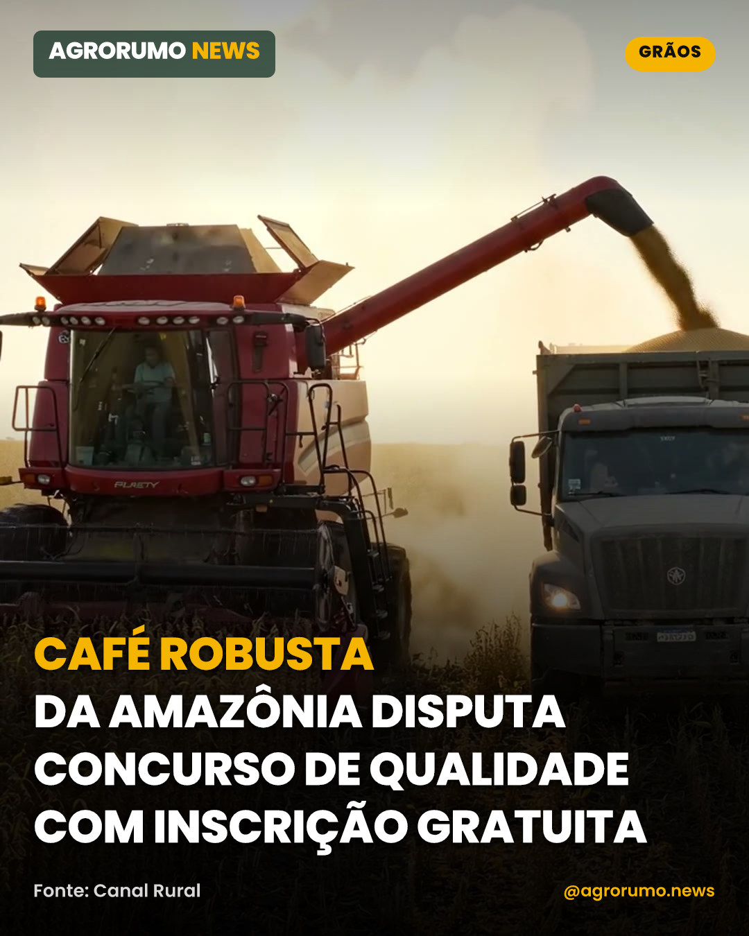 Café robusta da Amazônia disputa concurso de qualidade com inscrição gratuita