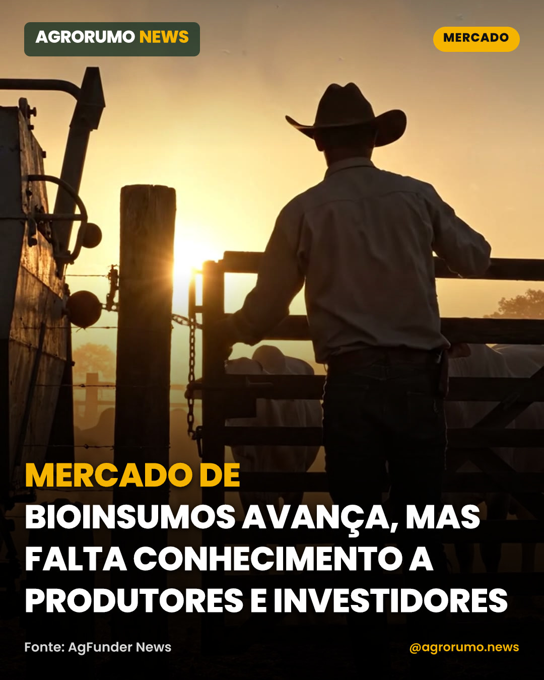 Mercado de bioinsumos avança, mas falta conhecimento a produtores e investidores