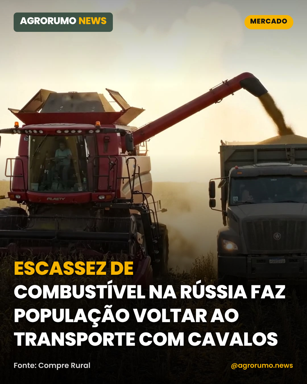 Escassez de combustível na Rússia faz população voltar ao transporte com cavalos