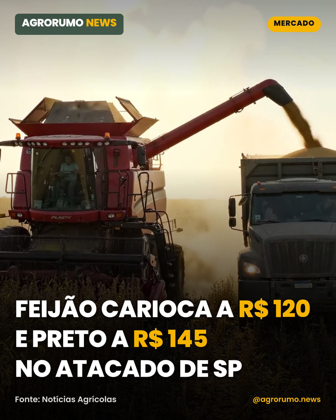 Feijão carioca a R$ 120 e preto a R$ 145 no atacado de SP