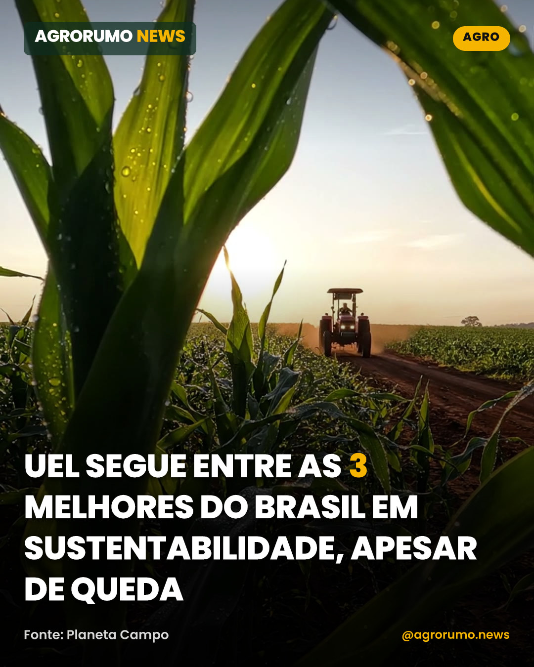 UEL segue entre as 3 melhores do Brasil em sustentabilidade, apesar de queda