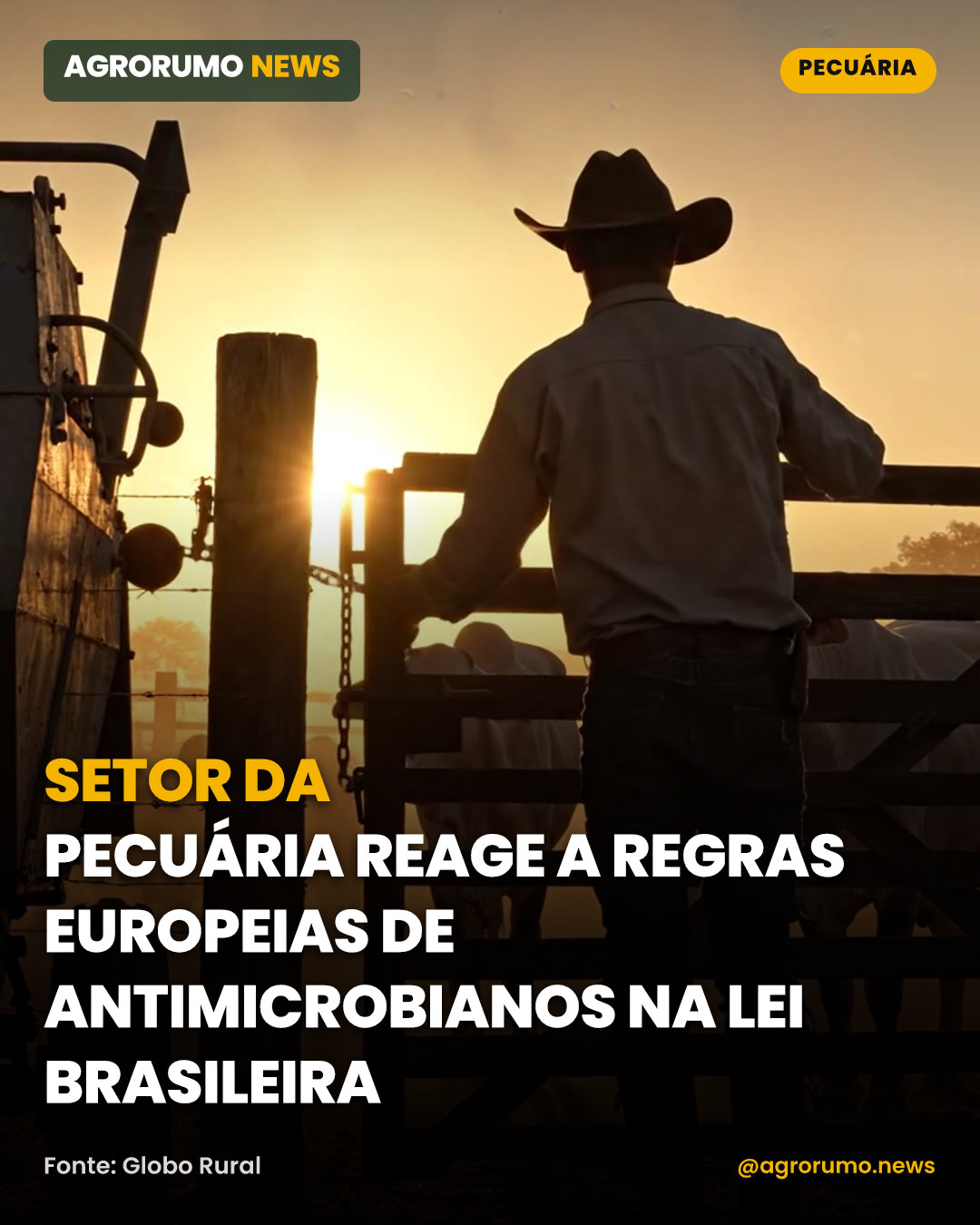Setor da pecuária reage a regras europeias de antimicrobianos na lei brasileira