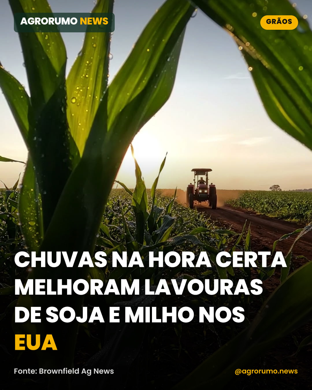 Chuvas na hora certa melhoram lavouras de soja e milho nos EUA