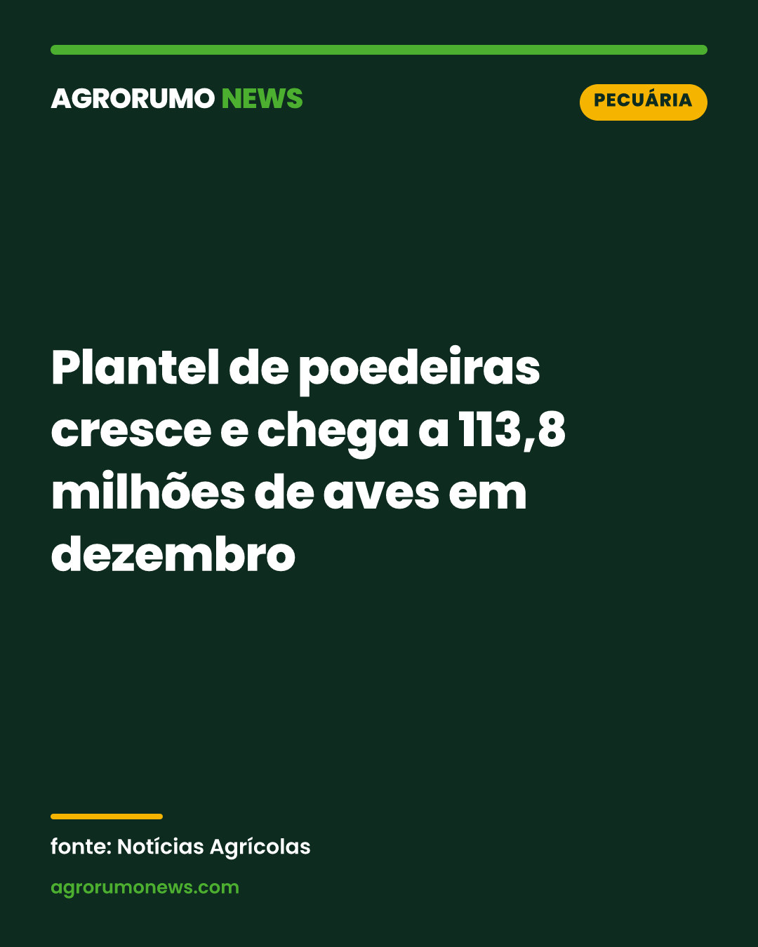 Plantel de poedeiras cresce e chega a 113,8 milhões de aves em dezembro