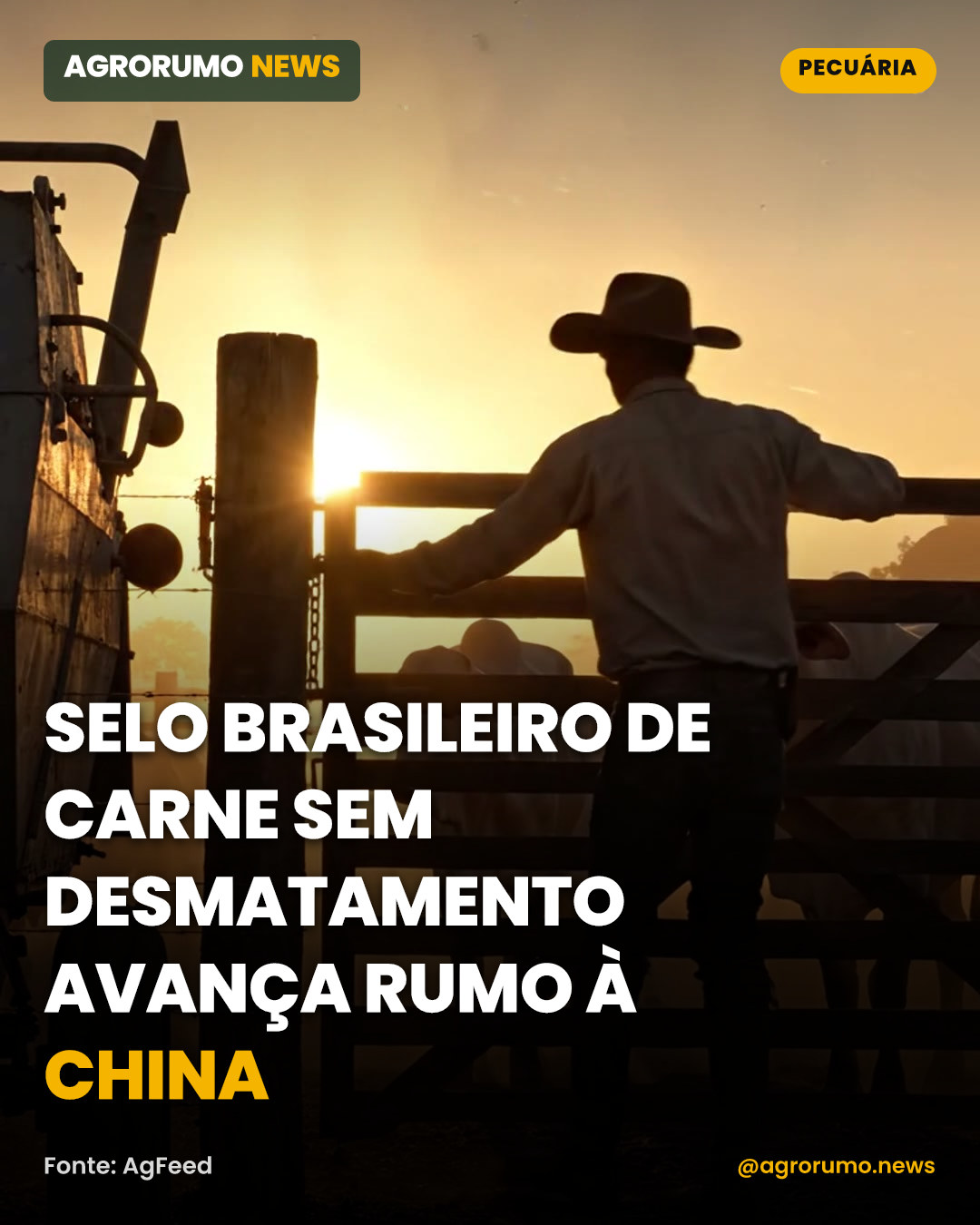 Selo brasileiro de carne sem desmatamento avança rumo à China
