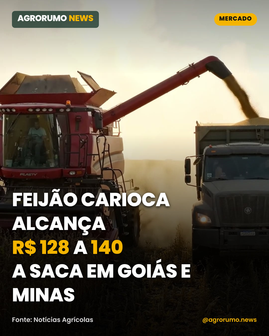 Feijão carioca alcança R$ 128 a 140 a saca em Goiás e Minas