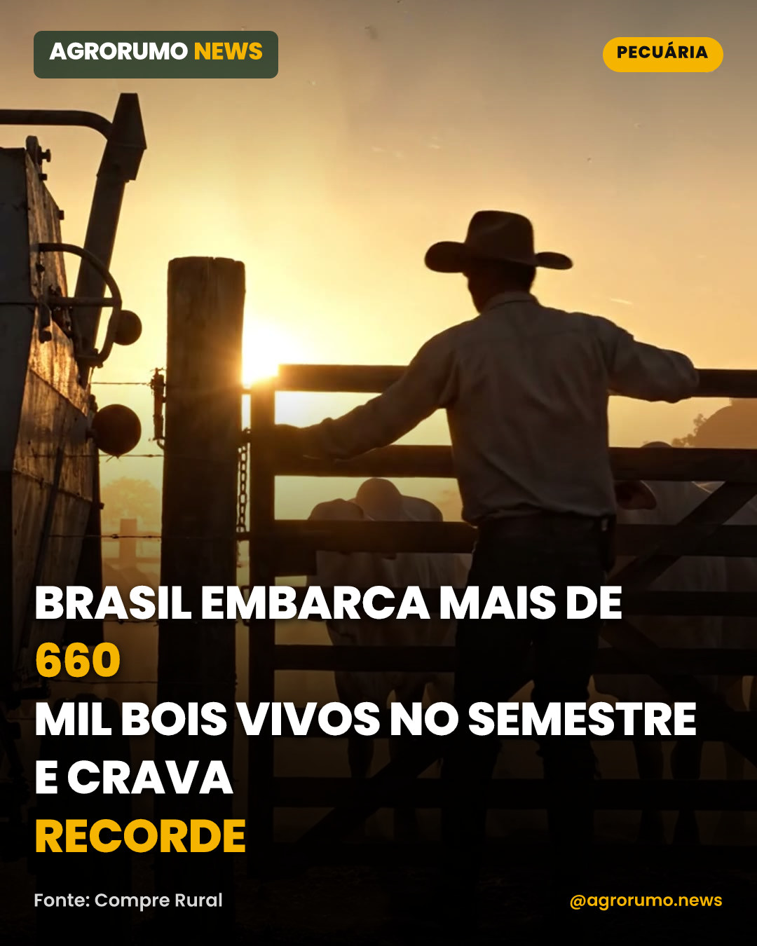 Brasil embarca mais de 660 mil bois vivos no semestre e crava recorde