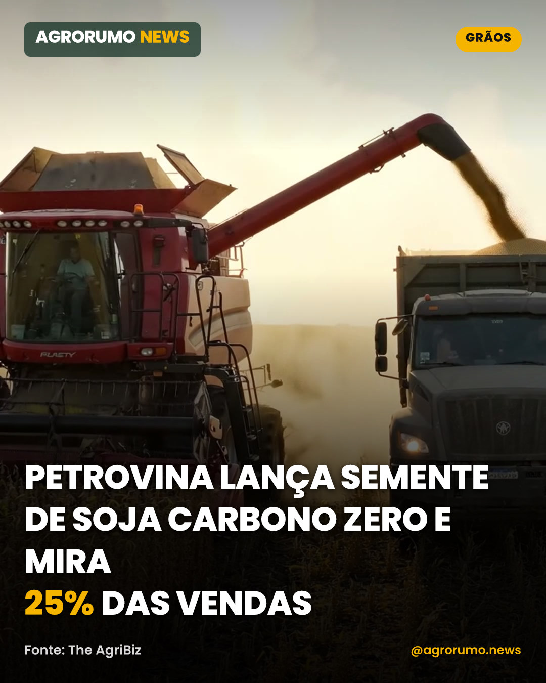 Petrovina lança semente de soja carbono zero e mira 25% das vendas