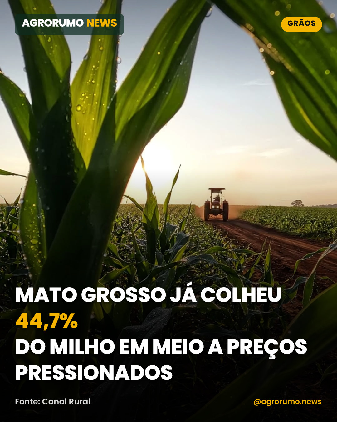Mato Grosso já colheu 44,7% do milho em meio a preços pressionados
