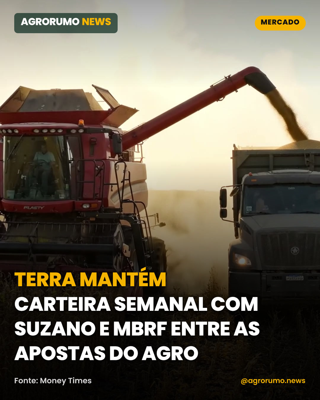 Terra mantém carteira semanal com Suzano e MBRF entre as apostas do agro