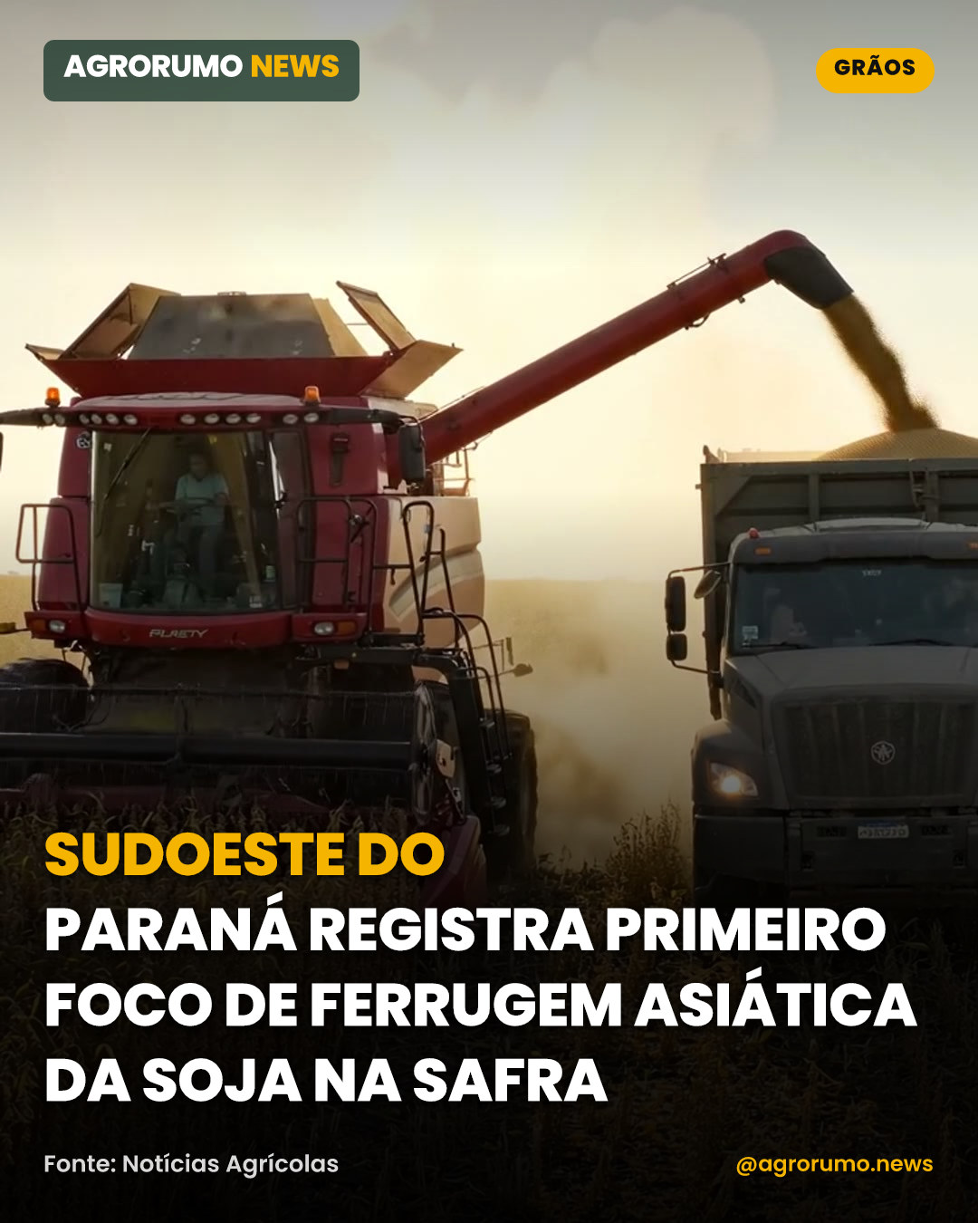 Sudoeste do Paraná registra primeiro foco de ferrugem asiática da soja na safra