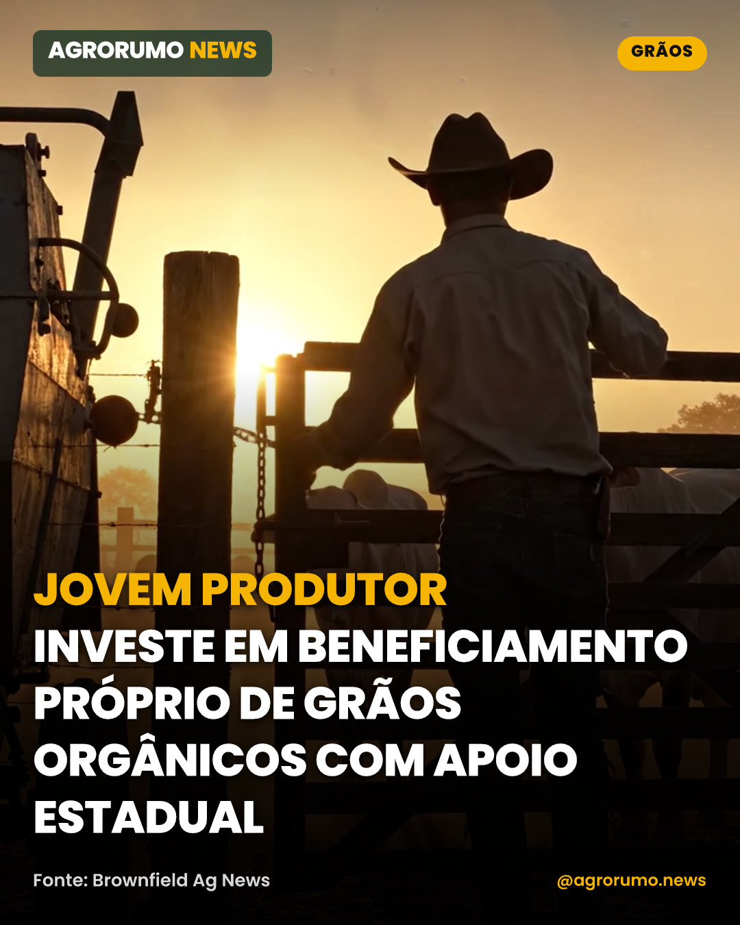 Jovem produtor investe em beneficiamento próprio de grãos orgânicos com apoio estadual