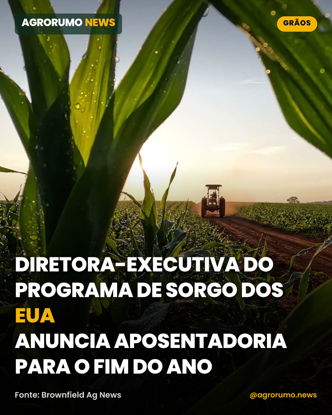 Diretora-executiva do programa de sorgo dos EUA anuncia aposentadoria para o fim do ano
