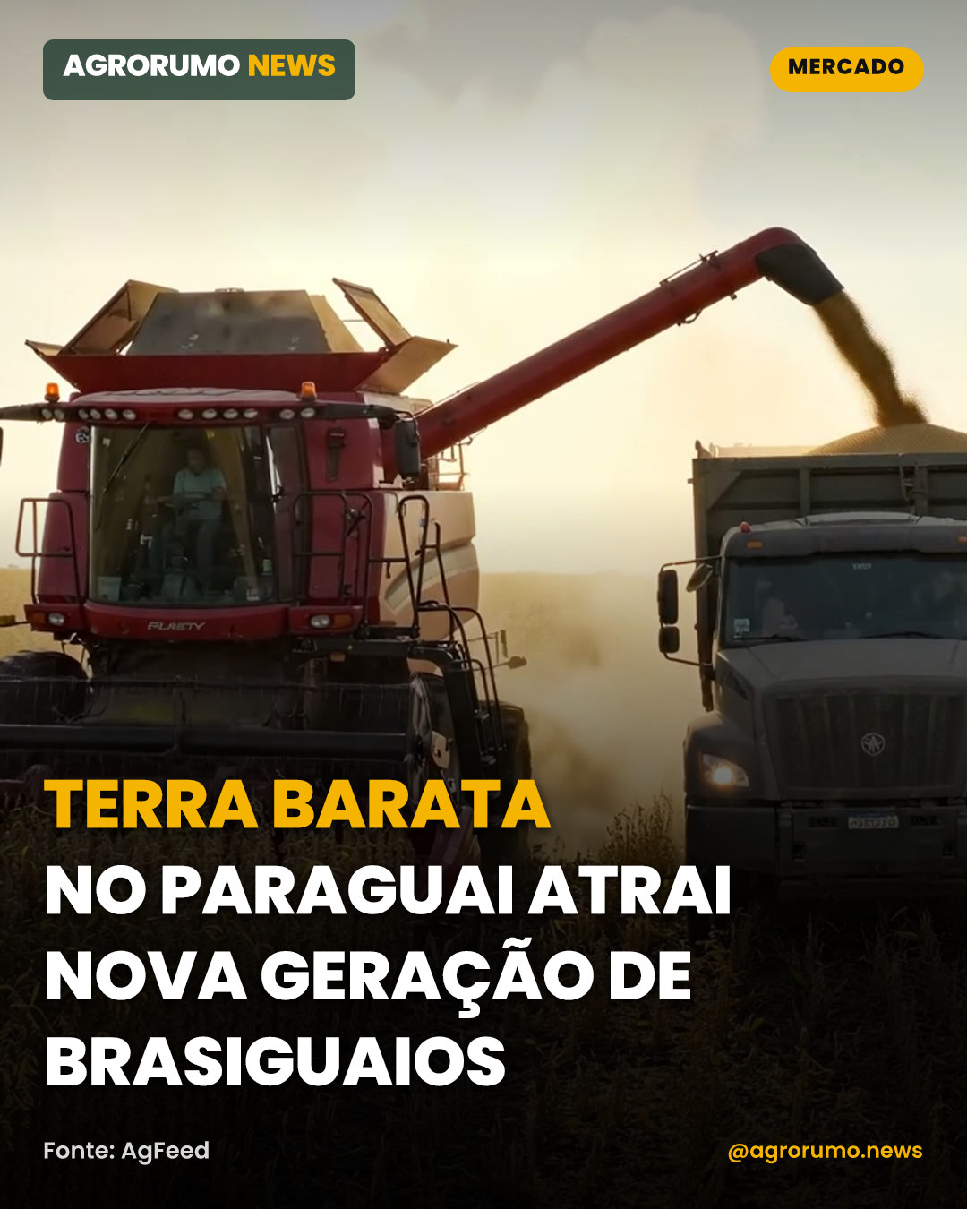 Terra barata no Paraguai atrai nova geração de brasiguaios