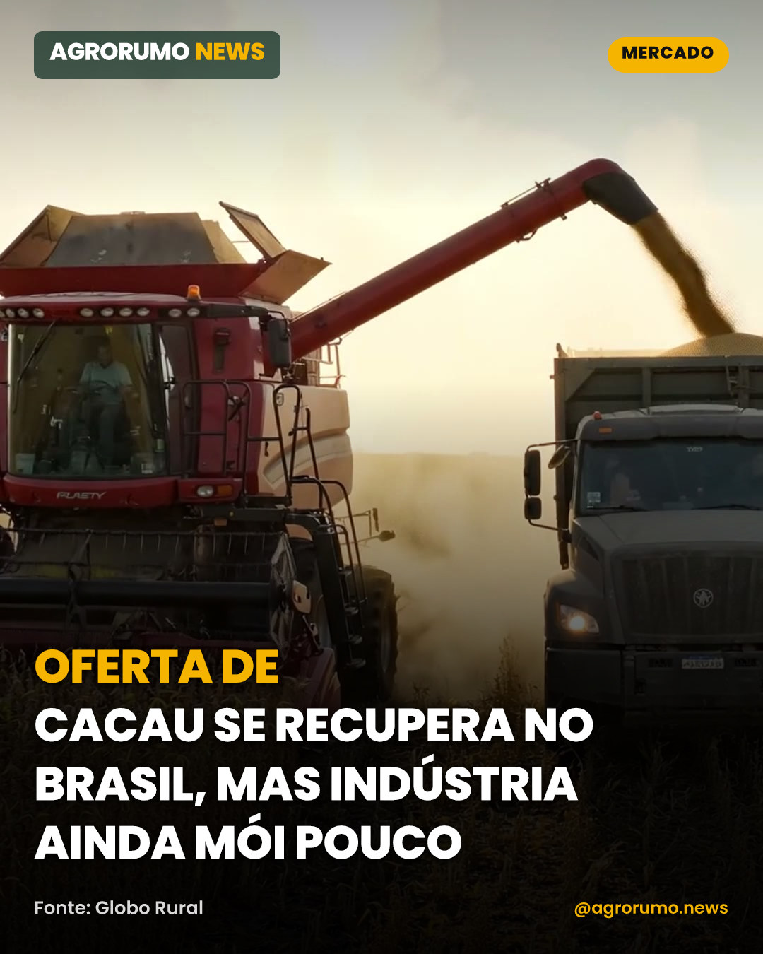 Oferta de cacau se recupera no Brasil, mas indústria ainda mói pouco