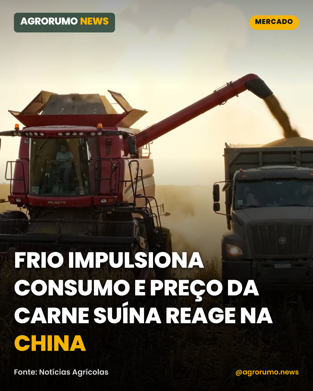 Frio impulsiona consumo e preço da carne suína reage na China