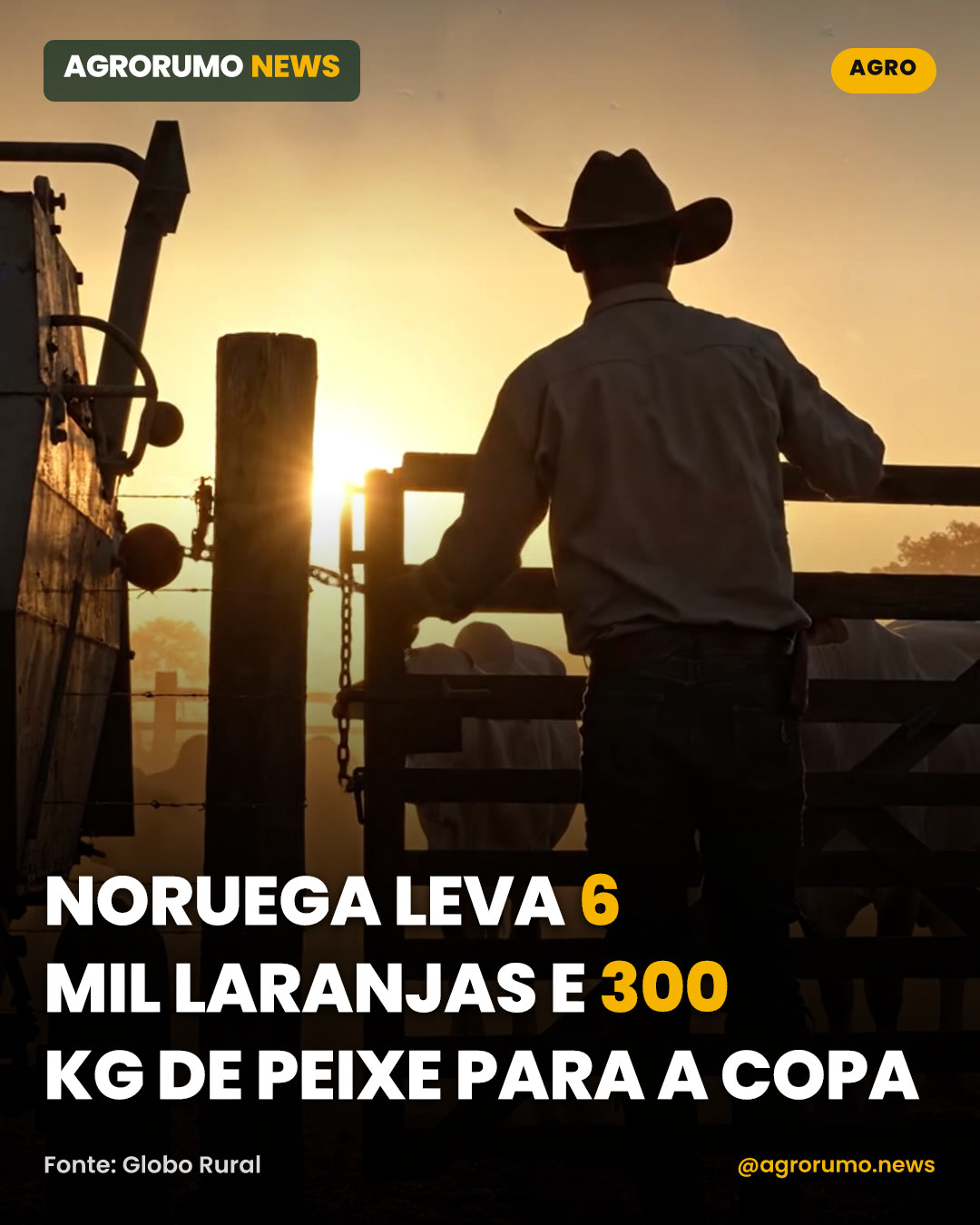 Noruega leva 6 mil laranjas e 300 kg de peixe para a Copa