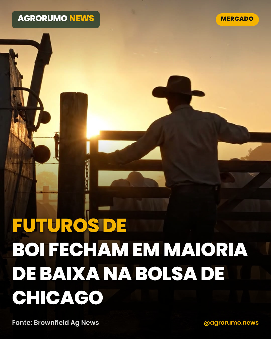 Futuros de boi fecham em maioria de baixa na bolsa de Chicago