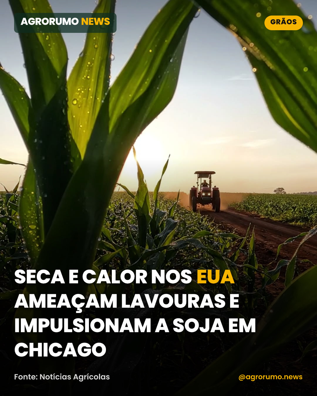 Seca e calor nos EUA ameaçam lavouras e impulsionam a soja em Chicago