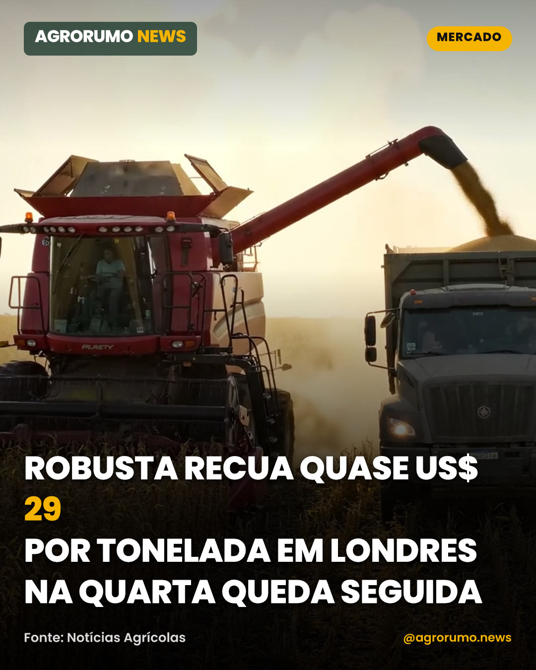 Robusta recua quase US$ 29 por tonelada em Londres na quarta queda seguida