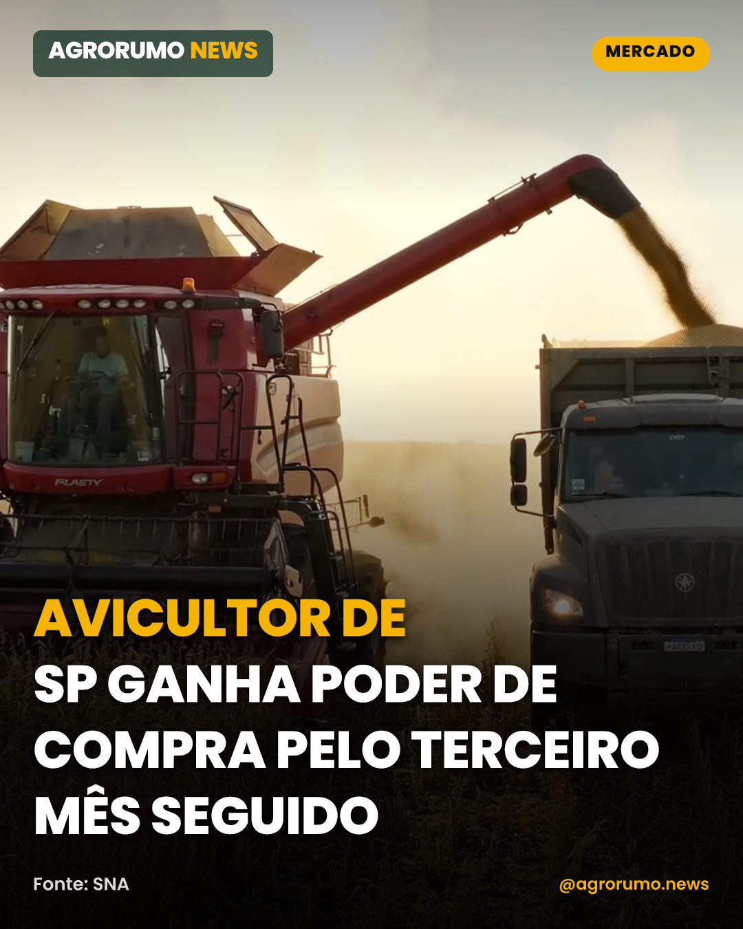 Avicultor de SP ganha poder de compra pelo terceiro mês seguido