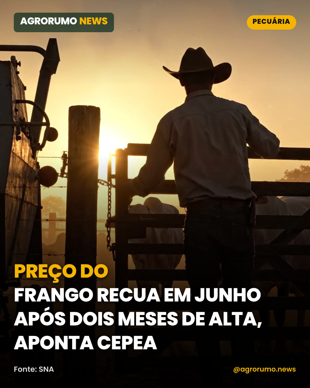 Preço do frango recua em junho após dois meses de alta, aponta Cepea