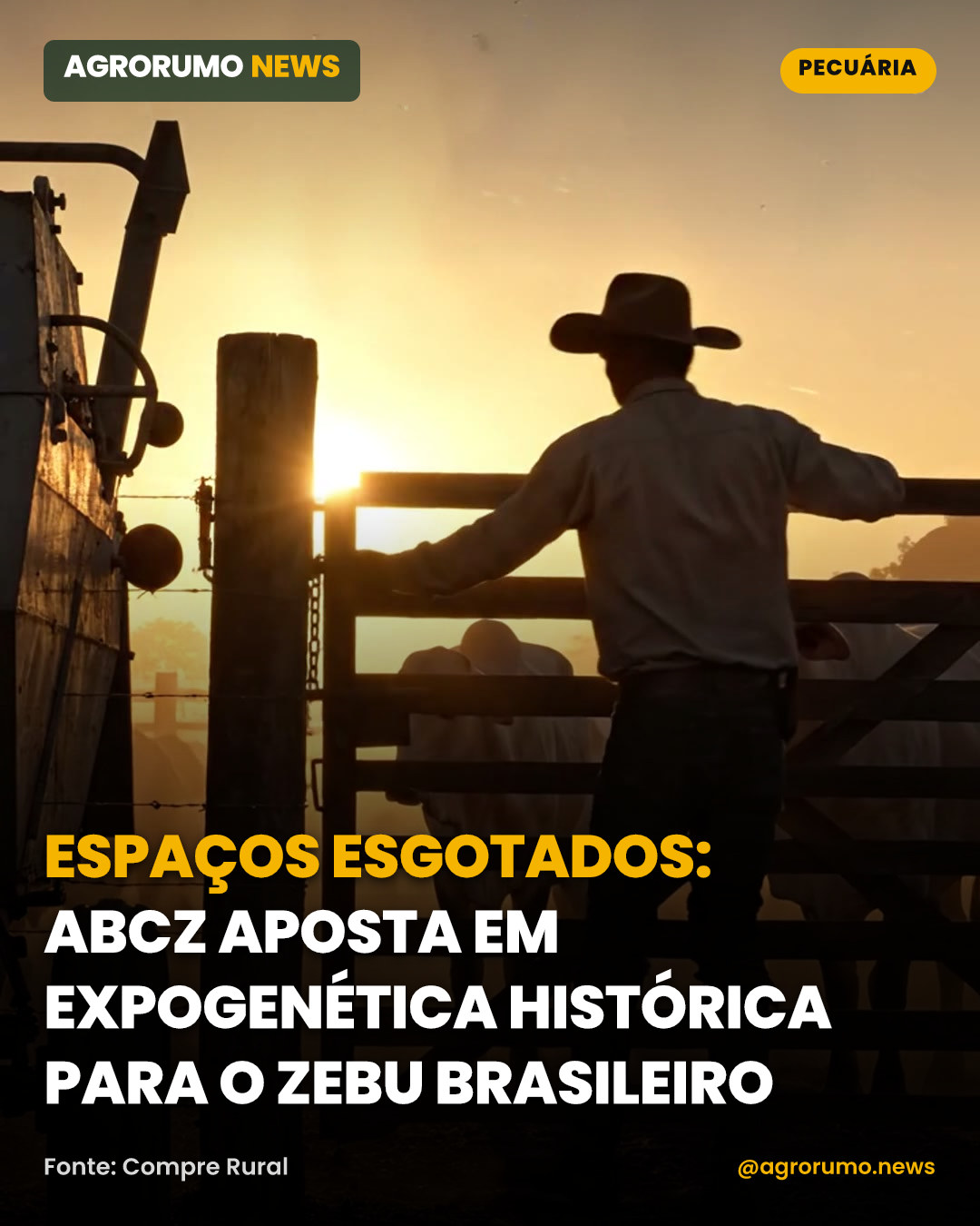 Espaços esgotados: ABCZ aposta em ExpoGenética histórica para o zebu brasileiro