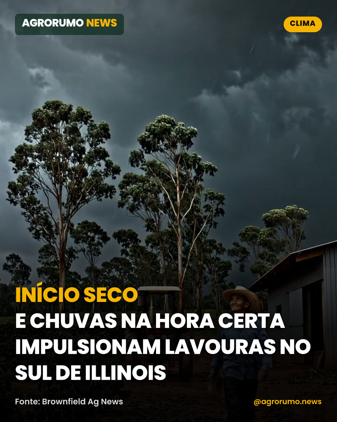 Início seco e chuvas na hora certa impulsionam lavouras no sul de Illinois