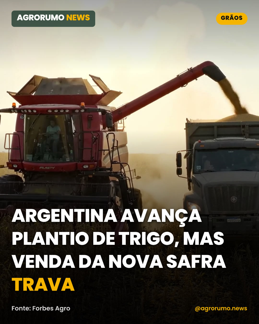Argentina avança plantio de trigo, mas venda da nova safra trava
