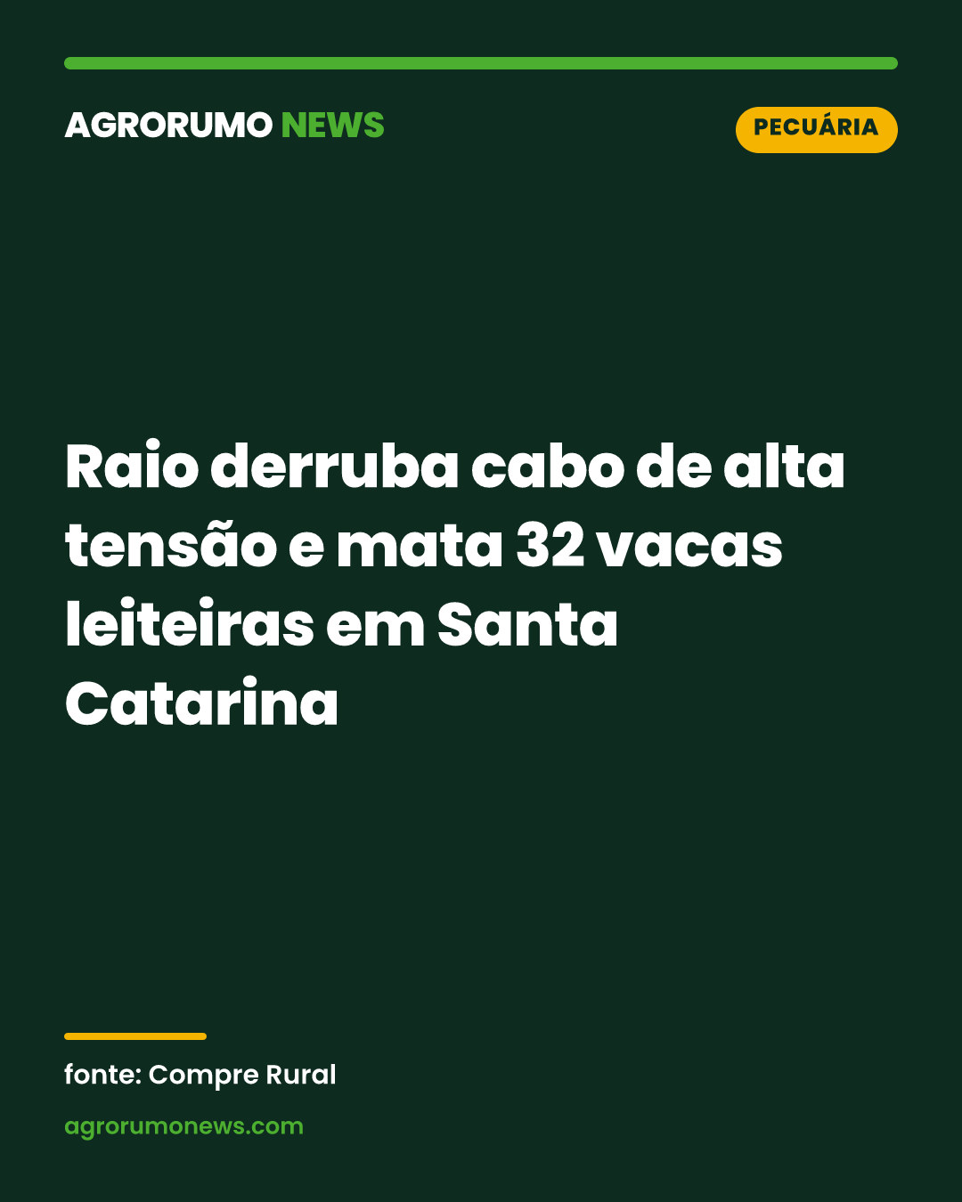 Raio derruba cabo de alta tensão e mata 32 vacas leiteiras em Santa Catarina