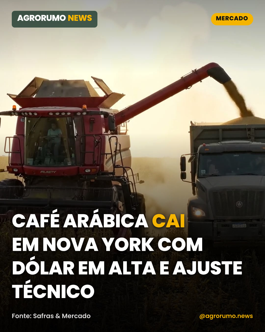 Café arábica cai em Nova York com dólar em alta e ajuste técnico