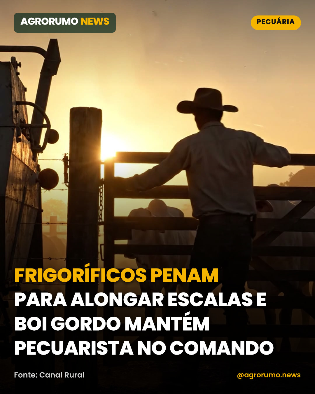 Frigoríficos penam para alongar escalas e boi gordo mantém pecuarista no comando
