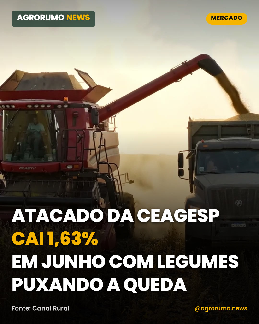 Atacado da Ceagesp cai 1,63% em junho com legumes puxando a queda