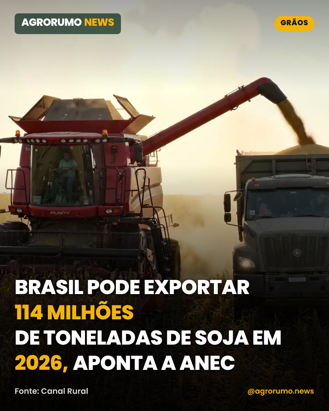 Brasil pode exportar 114 milhões de toneladas de soja em 2026, aponta a Anec