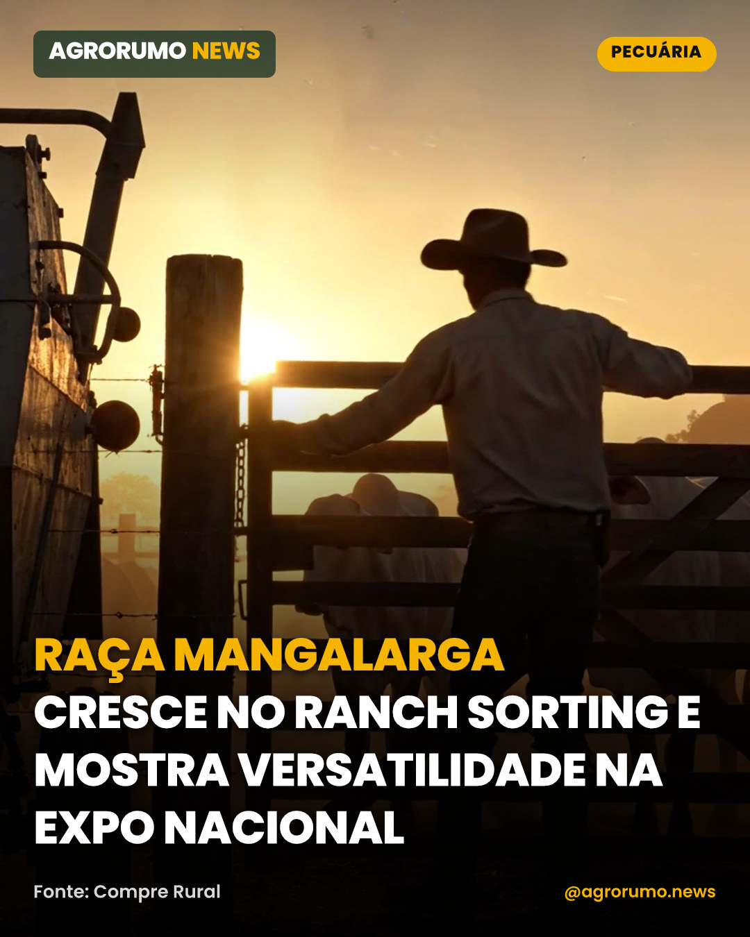 Raça Mangalarga cresce no Ranch Sorting e mostra versatilidade na Expo Nacional